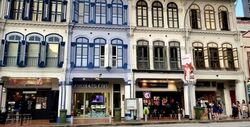 Tanjong Pagar Conservation Area (D2), Shop House #553567661